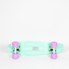 Fishka Fish skateboards Summer Green/ Summer Green/ Summer Purple