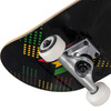 Kompletna Deskorolka NKX Rasta Royal Series Lion 8.25" 