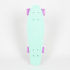 Fishboard Fish Skateboards Summer Green/ Silver/ Summer Purple
