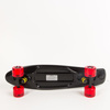 Fish skateboards Black / Black / Transparent Red