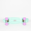 Fishboard Fish Skateboards Summer Green/ Silver/ Summer Purple