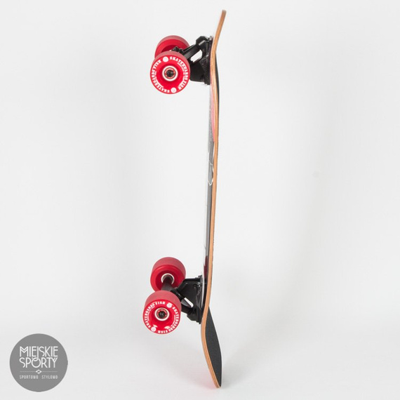 Shortboard Fish Skateboards Catfish