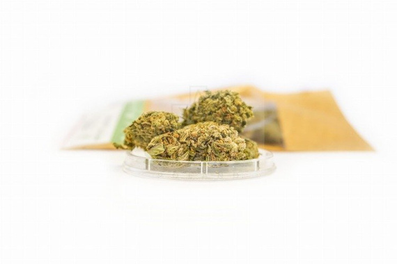 CBD Kwiaty Konopi "Harlequin" Susz konopny 2g