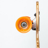 Longboard MILLER PHYSIS 38