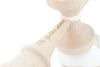 Kendama Lotus Kendamas GOLDEN LOTUS