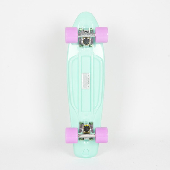 Fishboard Fish Skateboards Summer Green/ Silver/ Summer Purple