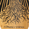 Longboard Loaded Symtail 39.5" Flex 2