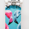 Deskorolka Fish Skateboards Flamingo 8"