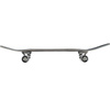Kompletna Deskorolka NKX Skate Or Die Series Cactus 8.5"