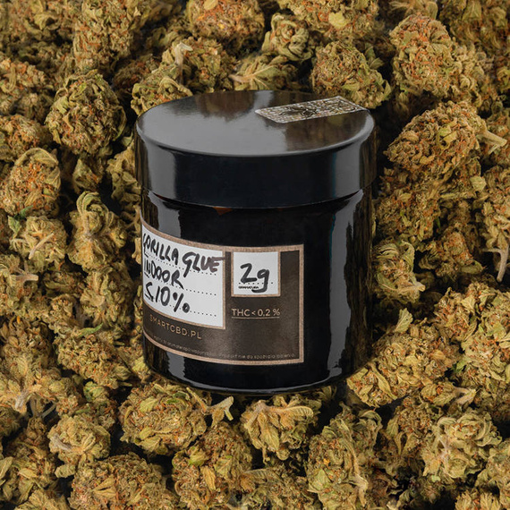 Kwiaty Konopi Susz Konopny <10% "GORILLA GLUE" 1g