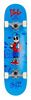 Deskorolka ENUFF SKULLY Complete Niebieska 7.75"