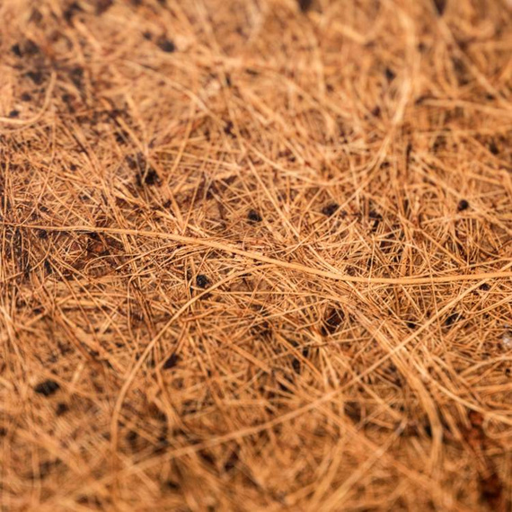 Deskorolka Cruiser GLOBE Blazer 26" Coconut Sky