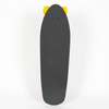Shortboard Alternative Longboards Hummingbird
