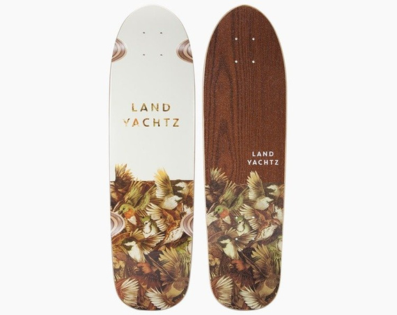 Shortboard Landyachtz Dinghy Birds