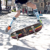 Kompletna Deskorolka NKX Rasta Royal Series Seal 8.0"