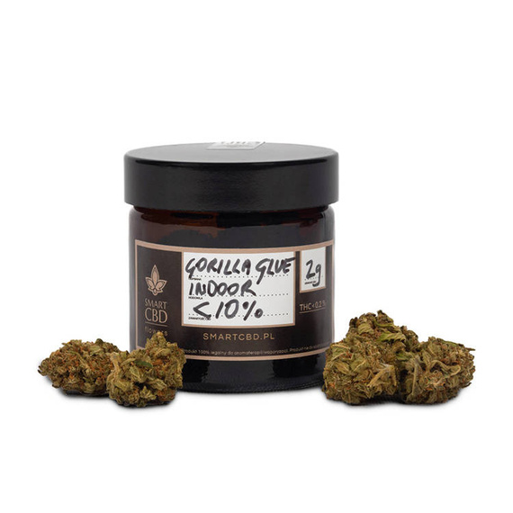 Kwiaty Konopi Susz Konopny <10% "GORILLA GLUE" 2g