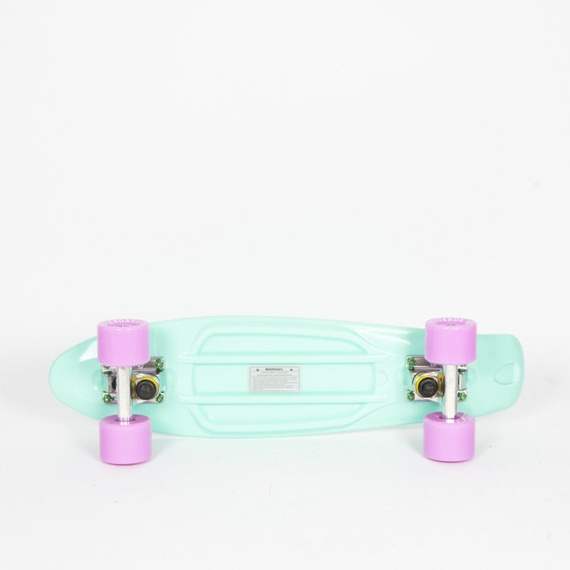 Fishboard Fish Skateboards Summer Green/ Silver/ Summer Purple