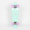 Fishboard Fish Skateboards Summer Green/ Silver/ Summer Purple