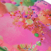 Kompletna deskorolka Impala Pip & Pop Skateboard Sherbet Island 8.0”