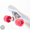 Shortboard Fish Skateboards Flounder Silver Red