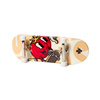 Fingerboard Kompletny Set-Up Urban Sports Skating Tomato 32 mm