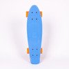 Fishboard Fish Skateboards Blue / Silver / Orange
